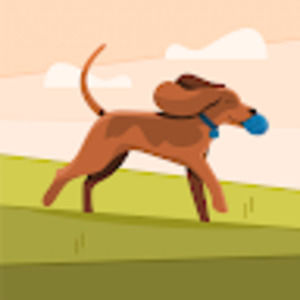 Meet your Posher, Elias